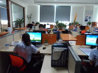 CADISEN Automatic Mechanical Luminous Watch Mineral Glass 8245