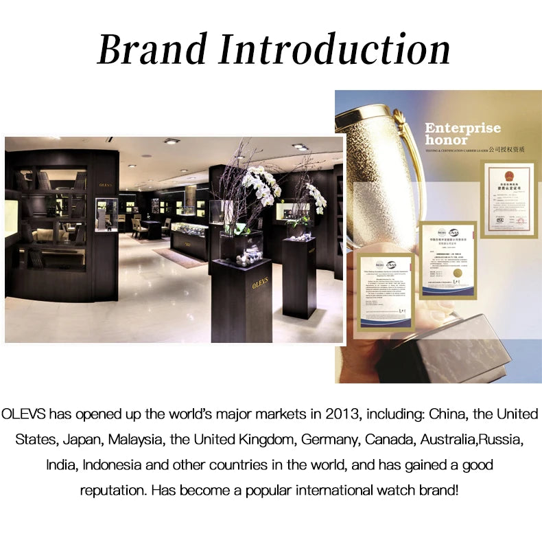 OLEVS Brand Belt Men's Chronograph Calendar Quartz Watch 2880